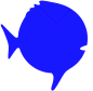 Sunfish logo